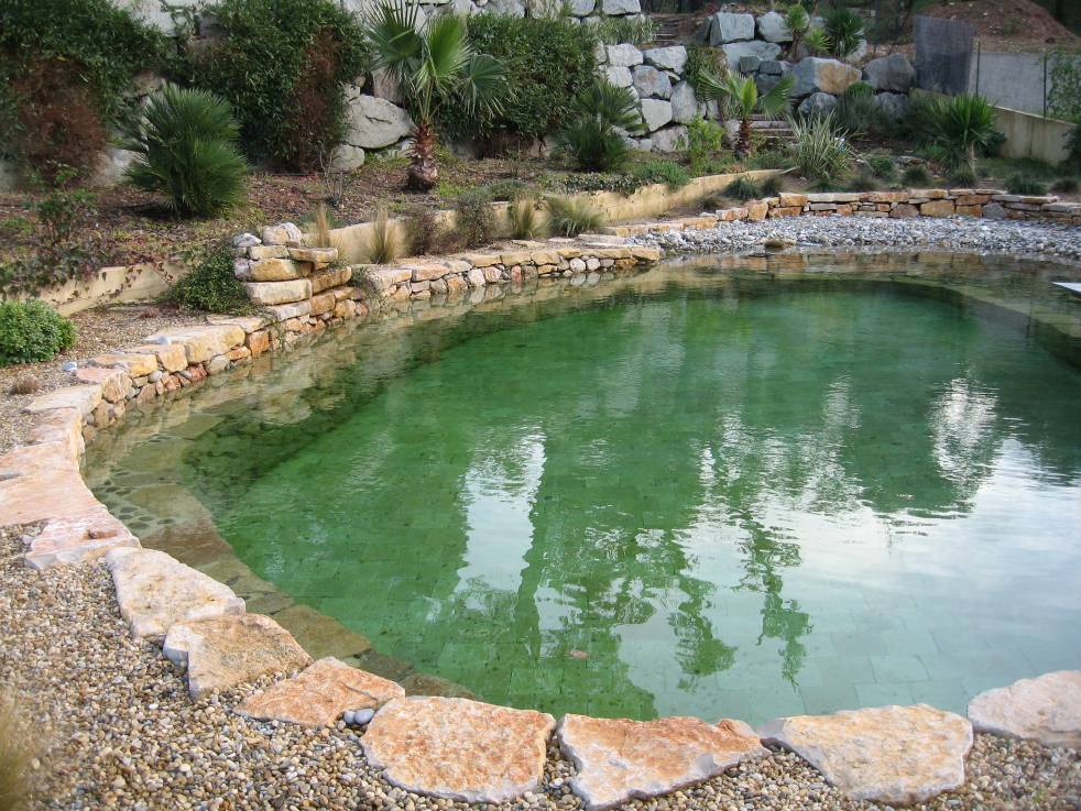 Natural Swimming Pool Designs